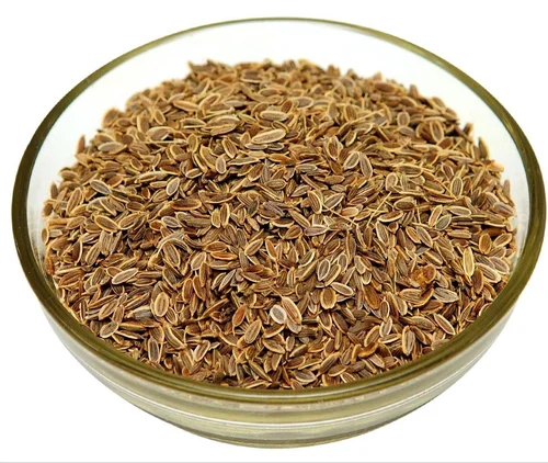 Premium wholesale Suwa dill seeds bold sortex clean Neemuch Manish Enterprises